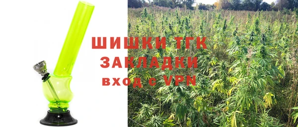 дмт Абаза