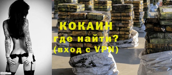 дмт Абаза