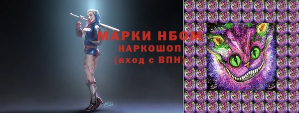 дмт Абаза