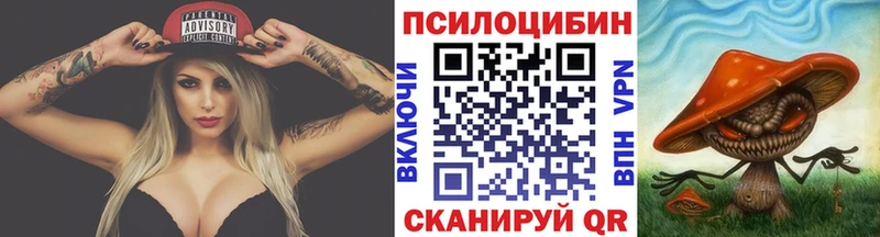 Псилоцибиновые грибы мицелий хочу наркоту hydra как зайти Фрязино